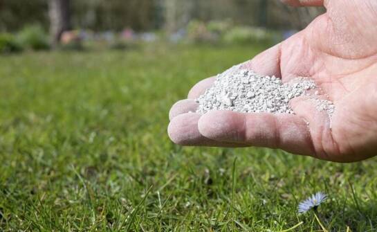 Wapno nawozowe jako element zrównoważonego rolnictwa