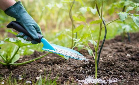Dlaczego warto wybierać nawozy od sprawdzonych dostawców?