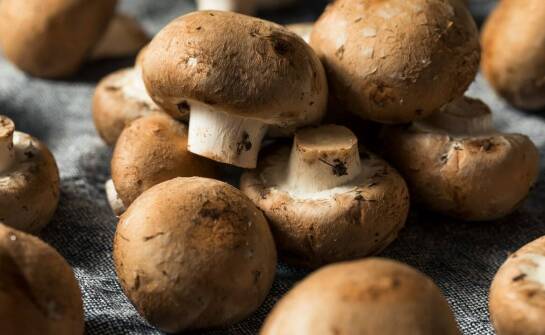 Key Benefits of Choosing Polish Mushrooms for a Seasonal Menu