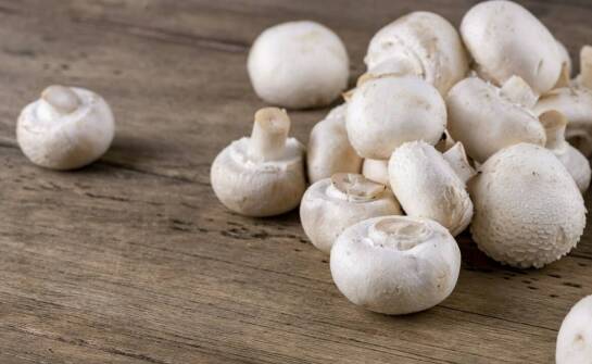 What Are the Most Commonly Chosen Varieties of Mushrooms by Wholesale Buyers?