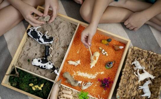 Sensoplastyka jako metoda wspomagająca rozwój kreatywności w prywatnym żłobku