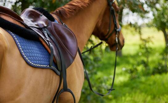 Nauszniki dla konia – jak wpływają na zachowanie zwierzęcia?