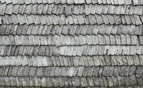 Jak strzecha z trzciny chroni przed hałasem zewnętrznym?