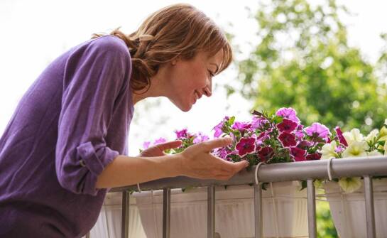 Biała skrzynka balkonowa - jak wkomponować ją w istniejący wystrój balkonu?