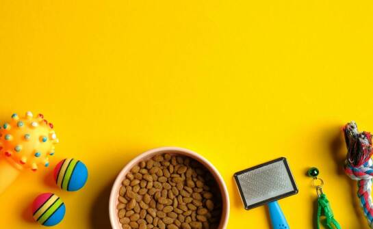 Jakie znaczenie ma włókno w diecie kota opartej na suchej karmie?