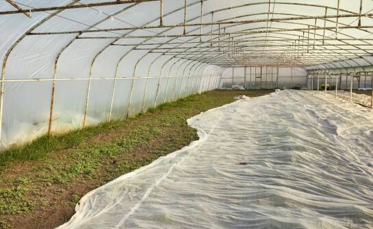 Rola folii ogrodniczych w zarządzaniu mikroklimatem w tunelach foliowych