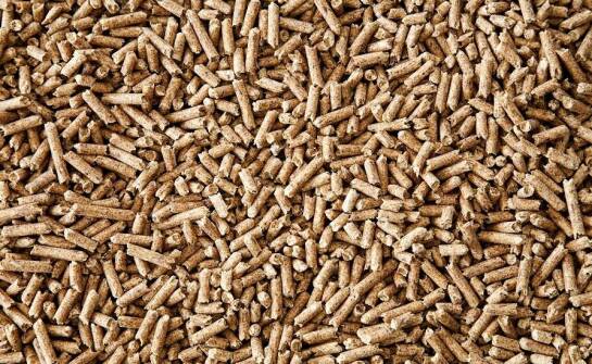 Dlaczego warto inwestować w ekologiczne paliwa opałowe?