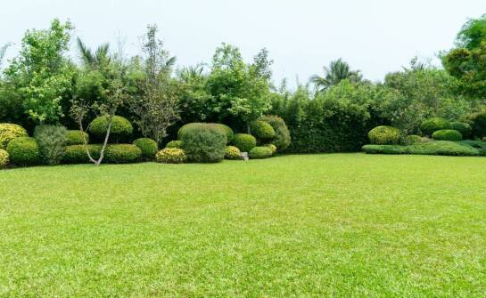 Jak trawnik z rolki wpływa na zwiększenie funkcjonalności ogrodu?