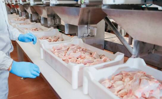 Jakie wymagania muszą spełniać zakłady przed rozpoczęciem audytu sanitarnego?