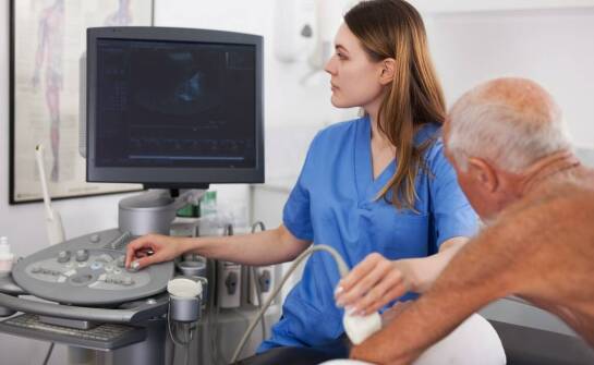 Jakie zastosowanie ma USG w diagnostyce chorób wewnętrznych u zwierząt?