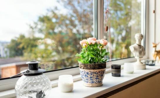 Rola specjalistycznych terapii w domu opieki dla seniorów