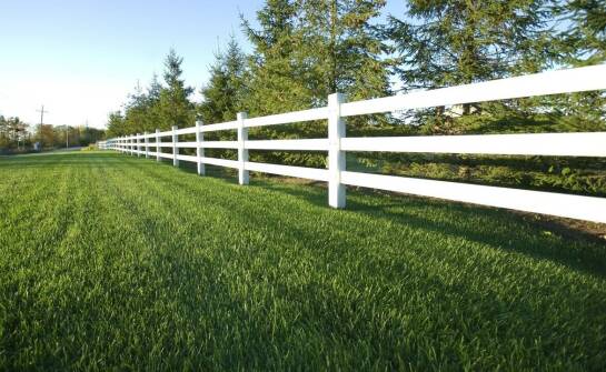 Wybór ogrodzenia panelowego dla posesji z dużymi przestrzeniami zielonymi