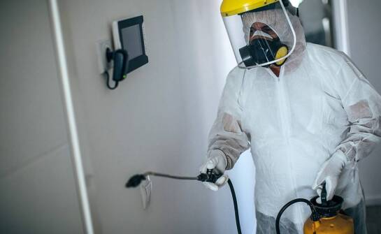 Czym różni się profesjonalna deratyzacja od domowych sposobów?