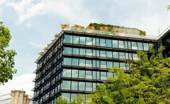 Czy naturalna osłona budynku może realnie obniżyć rachunki za ogrzewanie i klimatyzację?