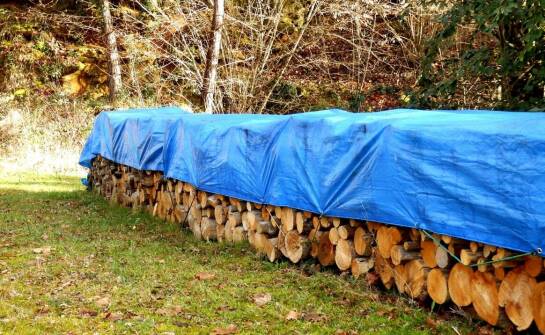 Jak przygotować drewno do zimy, aby uniknąć problemu z pleśnią?