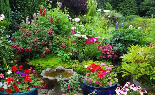 Najlepsze praktyki w utrzymaniu systemów nawadniających dla zdrowego ogrodu