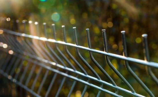 Skuteczne metody ochrony dachu przed zniszczeniami spowodowanymi przez kuny