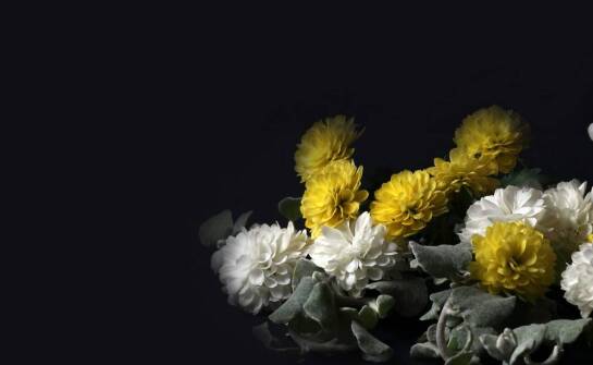 Jakie kwiaty są najczęściej wybierane na wieńce pogrzebowe?