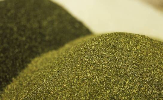 Kluczowe składniki naturalnych pasz dla koni i ich znaczenie dla zdrowia zwierząt