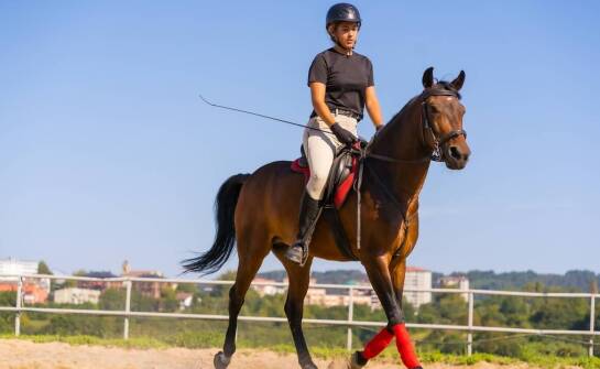 Bluza jeździecka a komfort podczas jazdy - co warto wiedzieć?