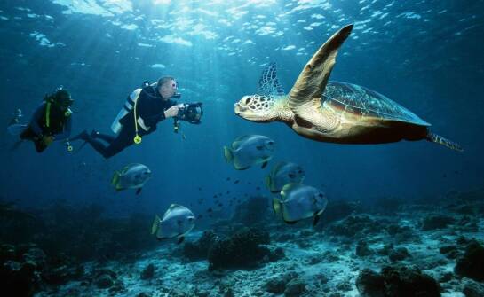 Warsztaty umiejętności nurkowych – jak podnieść swoje kwalifikacje pod okiem ekspertów?