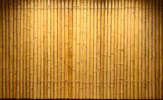 Różnorodność zastosowań plotu lamelowego 200 w aranżacji przestrzeni