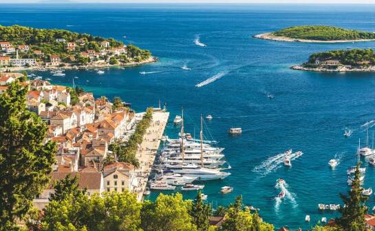 Wyspa Pasman dla smakoszy: Kulinarne atrakcje i festiwale