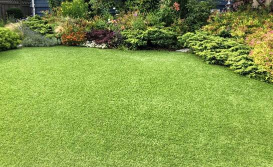 Jakie są najczęstsze błędy przy wyborze drzewek owocowych do ogrodu?