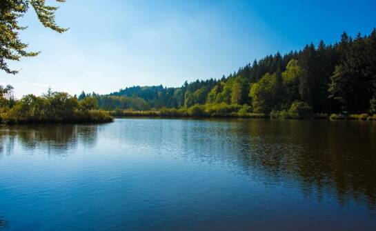 Wpływ przeróbki szamba na lokalny ekosystem – co warto wiedzieć?