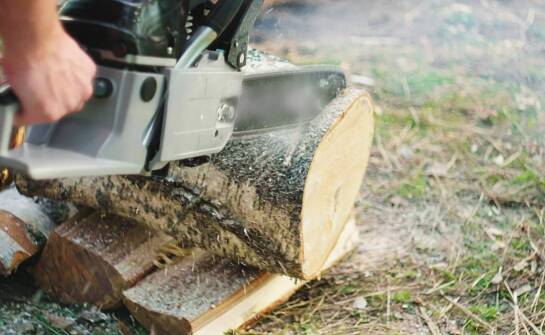 Przegląd najnowszych technologii zastosowanych w pilarce rema dmxa