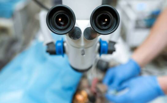 Znaczenie mikroskopu w minimalizowaniu błędów podczas leczenia kanałowego