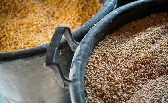 Innowacyjne materiały stosowane w produkcji żłobów dla bydła