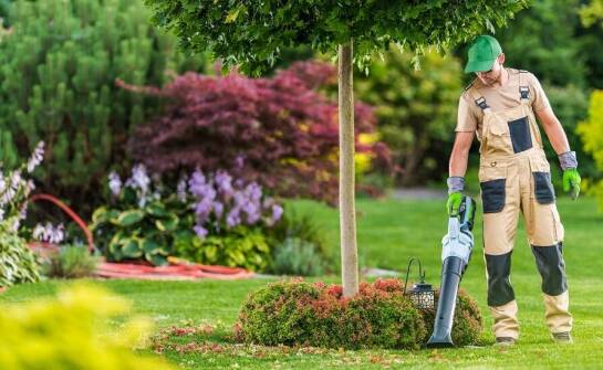 Jak utrzymanie czystości terenów zielonych wpływa na estetykę otoczenia?