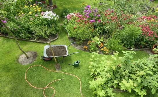 Profesjonalne zakładanie ogrodów: Jakie są kluczowe etapy procesu?