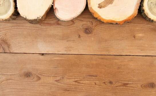 Cennik frezowania pni w kontekście zrównoważonego zarządzania zielenią