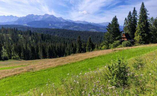Jak zorganizować wyjazd do Austrii, by był inspirujący i edukacyjny?