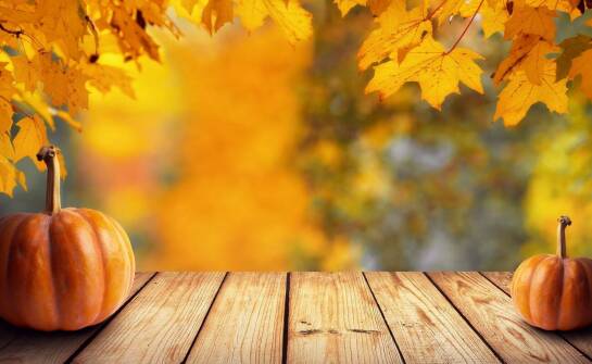 Jak curamed kurkumina wpływa na zdrowie układu nerwowego?