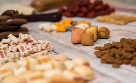 Czy psia kość żywiec jest odpowiednia dla szczeniąt?