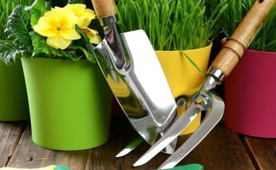 Akcesoria ogrodowe – co warto mieć, aby ułatwić pielęgnację zieleni?