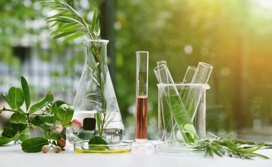 Wpływ witaminy B17 na proces regeneracji po leczeniu onkologicznym