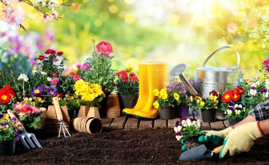 Jakie są praktyczne zastosowania przelicznika jardów na metry w projektach ogrodniczych?