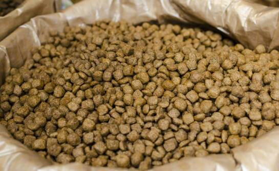 Rola zakiszaczy do kiszonki w żywieniu drobiu – co warto wiedzieć?