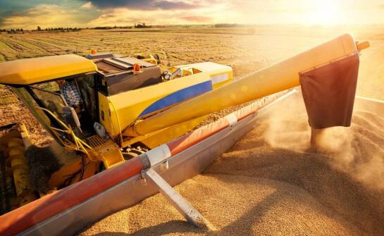 Wpływ nowoczesnych wozów paszowych na dobrostan zwierząt