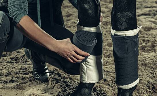 Komfort użytkowania podkolanówek jeździeckich – na co zwrócić uwagę?