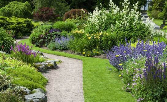 Jak wybrać najlepsze krzewy kwitnące wieloletnie dla swojego ogrodu?