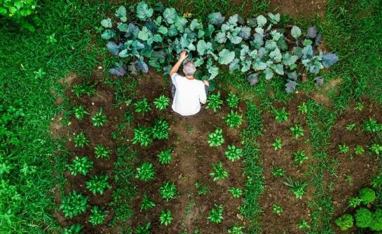 Jak systemy nawadniające wpływają na efektywno ść ogrodu?