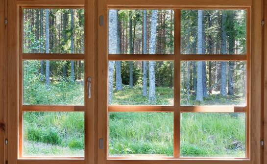 Nowoczesne domy z bali jako sposób na integrację z naturalnym otoczeniem