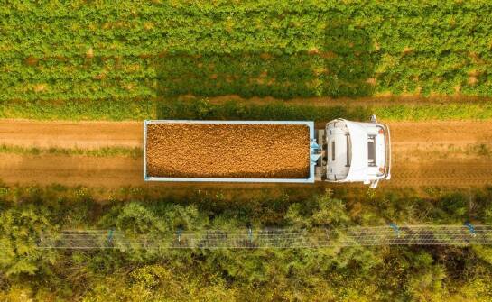 Skup kukurydzy mokrej: jak optymalizować procesy logistyczne?