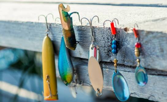 Poradnik wyboru stojaka wędkarskiego dla początkujących