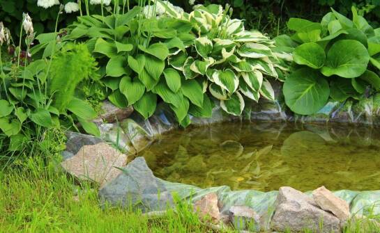 Wpływ jakości materiałów na trwałość oczek wodnych